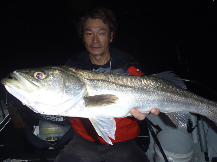 最新釣況